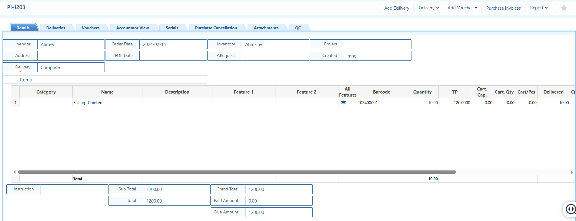 Purchase Invoice Details View